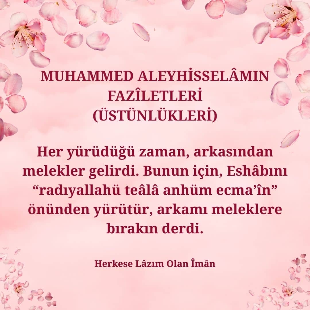 Üstünlükleri (24)